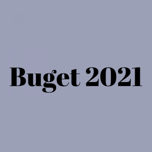Bugetul pentru anul 2021