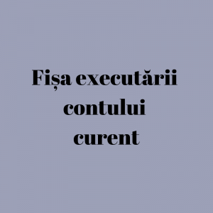 Fișa executării contului curent