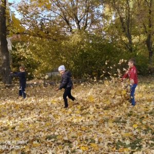 Sfârșit de toamnă🍂🍁 în viziune retrospectivă