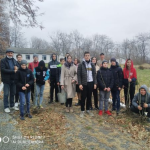 Campania Anuală de Înverzire a Plaiului în LT Tabani